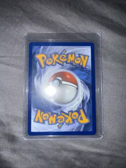 Litten Holo Mega Evo Promo Pokemon Card Collection 44 NM - Image 2