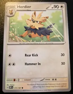 Herdier 171/197 Common Scarlet & Violet: Obsidian Flames Pokemon TCG - Image 1