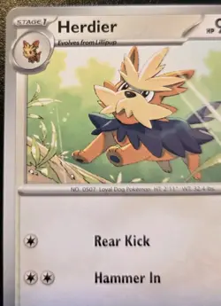 Herdier 171/197 Common Scarlet & Violet: Obsidian Flames Pokemon TCG - Image 2