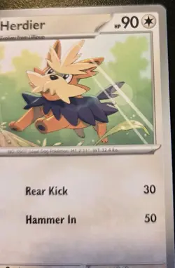 Herdier 171/197 Common Scarlet & Violet: Obsidian Flames Pokemon TCG - Image 3
