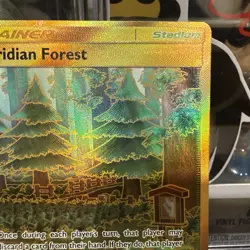 Viridian Forest (Secret Rare) 256/236 Sm-Unified Minds Gold Holo Pokemon TCG - Image 3