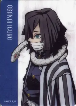 Character Card Iguro Obanai "Demon Slayer: Kimetsu no Yaiba Special Edition T... - Image 1