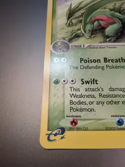JUMBO Pokemon 2003 GROVYLE Winner Black Star Promo #004 RARE!! NM - Image 4