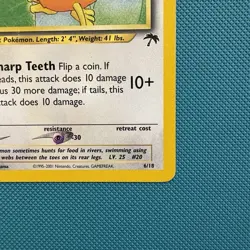 Pokemon Vintage Southern Islands Raticate 6/18 Rare Promo English Tcg - Image 5