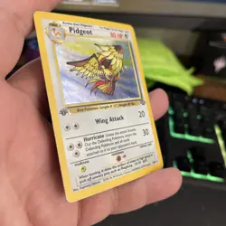 Pokemon TCG - Pidgeot (holo) - Jungle - HP - 8/64 - Image 3