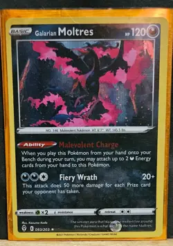 Pokemon Lot of 3 Evolving Skies Holo Legendary Feathered Friends M-NM Unplayed - Image 3