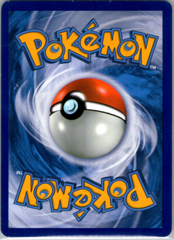 Totodile Common XY - Phantom Forces 15/119 NM - Pokemon TCG - Free Ship! - Image 2