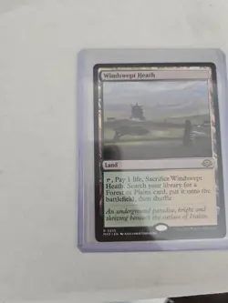 Windswept Heath Modern Horizons 3 Regular NM - Image 2