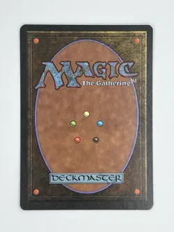 MTG ERG RAIDERS (Dark) Arabian Nights Regular MT Common Magic The Gathering - Image 2