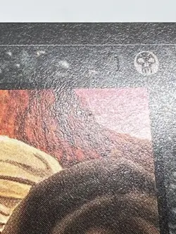 MTG ERG RAIDERS (Dark) Arabian Nights Regular MT Common Magic The Gathering - Image 3