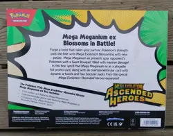 Pokemon Ascended Heroes Factory Sealed Mega Meganium Ex Box 4 Booster Packs - Image 2
