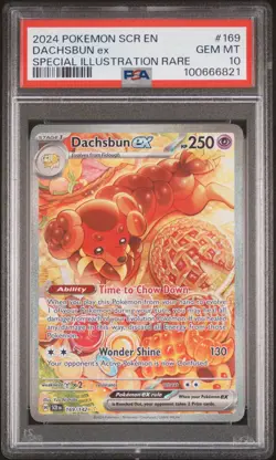 2024 Pokemon Stellar Dachsbun Ex Special Illustration #169/142 PSA 10 See Photos - Image 1