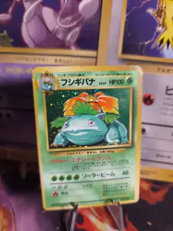 Pokemon Karte Card Bisaflor Venusaur Base Expansion Set Holo Wotc japanese Good - Image 1