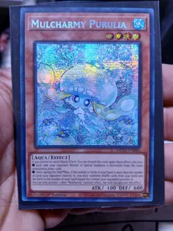 YuGiOh! - Mulcharmy Purulia MP25-EN085 Prismatic Secret Rare 1st Edition NM - Image 3