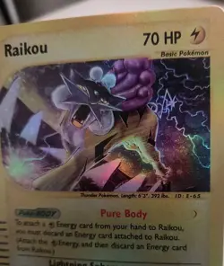 "Custom-made" High Quality, Raikou #H26 Skyridge"*Display-card*" - Image 4