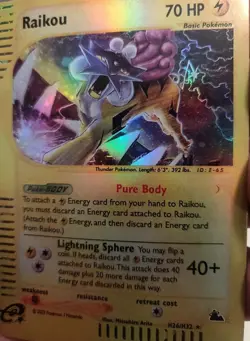 "Custom-made" High Quality, Raikou #H26 Skyridge"*Display-card*" - Image 5