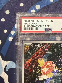 2023 pokemon paldea evolved PAL ENglish MAGIKARP #203 IR Illustration Rare PSA 8 - Image 2