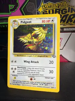 Pokemon Pidgeot TCG Holo Rare Card 8/64 Jungle Unlimited WOTC - Image 1