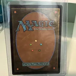 Decorum Dissertation (Borderless) Foil | 292 NM | Secrets of Strixhaven | Magic - Image 2