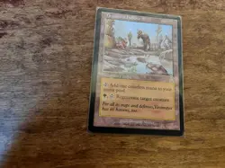 Yavimaya Hollow Urza's Destiny Regular - Image 1