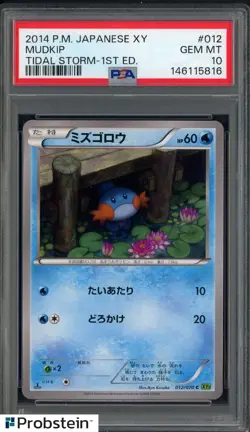 2014 Pokemon JPN XY Tidal Storm 1st Ed #012 Mudkip PSA 10 GEM MINT - Image 1
