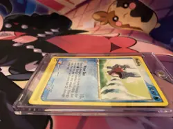 Mudkip - 65/97 - EX Dragon Set E-Series - Pokemon Card - - Image 5
