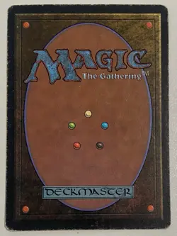 Magic The Gathering MTG DESERT TWISTER Arabian Nights Signed by Susan Van Camp! - Image 2