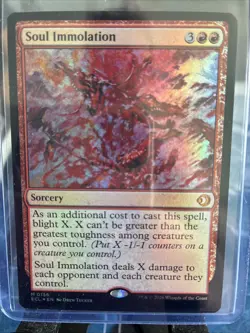 Magic The Gathering: Soul Immolation Lorwyn Eclipsed Foil - Image 1