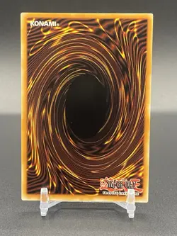 Yu-Gi-Oh! TCG Elemental Hero Bundle - Image 2