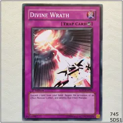 Divine Wrath - 5DS1-EN038 - Common 1st Edition Yugioh - Image 1