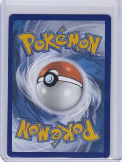 Charmander Holo Promo SV: Scarlet & Violet Promo Cards 044 NM - Image 2