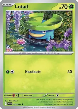 Pokemon TCG: Pokemon Day 2026 Collection 6 Box Case #RQE - Image 4