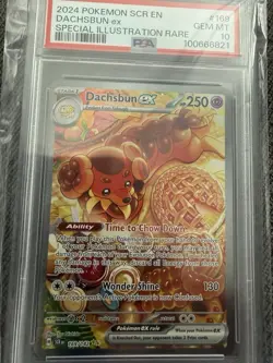 2024 Pokemon Stellar Dachsbun Ex Special Illustration #169/142 PSA 10 See Photos - Image 3