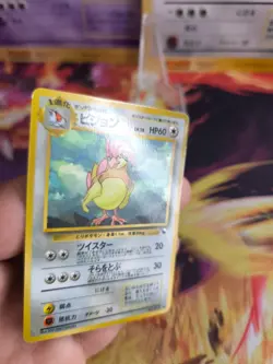 Pokemon Karte Card japanese expansion sheet vending glossy Pidgeotto Tauboga NM - Image 2