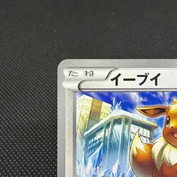 Eevee 213/BW-P Promo April 2013 Gym Challenge pack Japanese Pokemon Card #0C35 - Image 3
