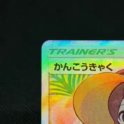 Sightseer 192/173 Tag All Stars SM12a 2019 Japanese Pokemon Card #5402 - Image 4