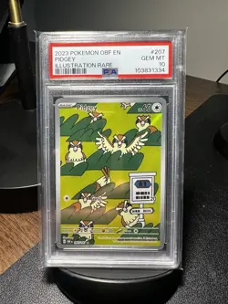 Pokemon TCG Pidgey 207/197 SV03: Obsidian Flames Illustration Rare Holo PSA 10 - Image 1