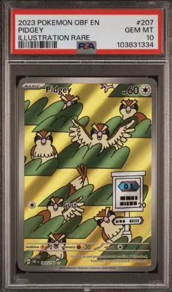 Pokemon TCG Pidgey 207/197 SV03: Obsidian Flames Illustration Rare Holo PSA 10 - Image 3