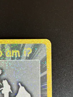 2004 Pokemon Funskool India Charizard #006 Cracked Ice Holo | Who Am IU | NM - Image 4