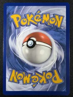 Pokemon Squirtle 148/142 SV07 Stellar Crown Illustration Rare - Image 2