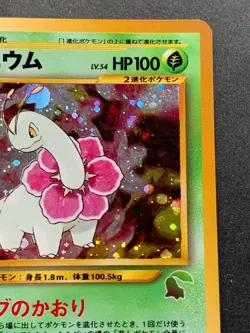 Pokemon card Meganium NO.154 Japanese Nintendo Pocket Monster Holo VERY RARE - Image 3