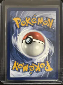 Galarian Articuno SWSH282 SWSH: Sword & Shield Promo Cards - Image 2