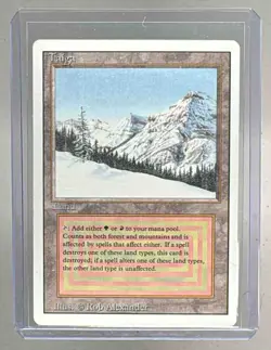 Taiga 1994 Magic: The Gathering Revised (B) - Image 1