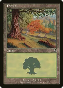 Forest (349) Odyssey NM Basic Land MAGIC THE GATHERING MTG L8 - Image 1