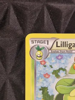 Pokemon TCG | Black and White | Lilligant | BW49 Black Star Promo | Holo - Image 4