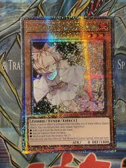Ash Blossom & Joyous Spring - Quarter Century Secret Rare - Yu-Gi-Oh! - Image 1