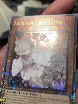 Ash Blossom & Joyous Spring - Quarter Century Secret Rare - Yu-Gi-Oh! - Image 3