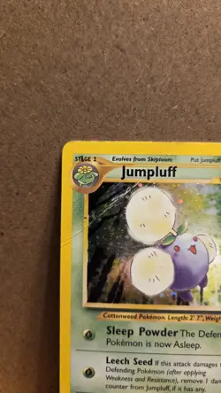 Jumpluff Neo Genesis 7/111 Rare unlimited Holo DMG - ungraded Pokemon Card - Image 3