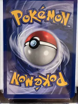 Pokemon Card Pikachu CGC 8 NM/Mint Card #60/64 1st Edition Jungle Pokemon psa - Image 4