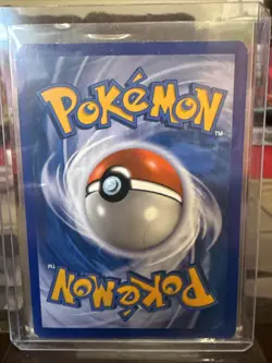 Pachirisu - DP04 Diamond and Pearl Promos #DP4 (2007) Promo Holo LP Pokemon NM - Image 2